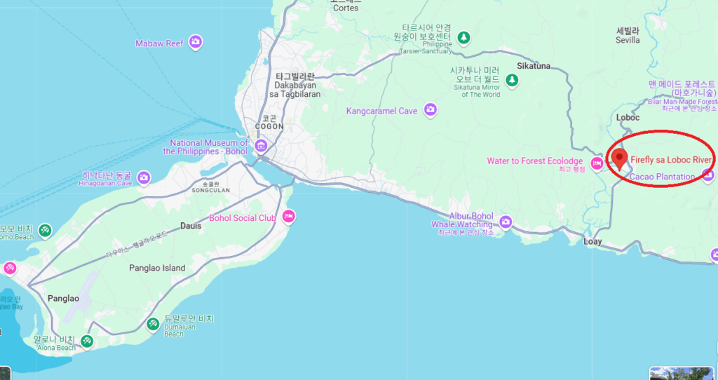 보홀 반딧불투어 위치